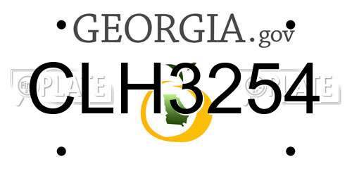 CLH3254 Georgia License Plate