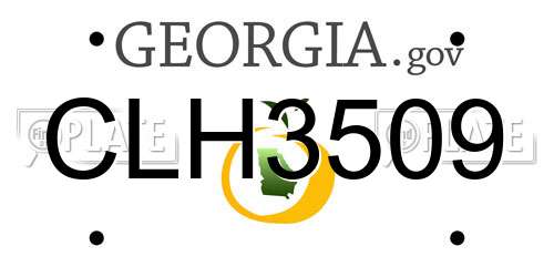 CLH3509 Georgia License Plate