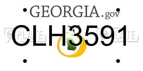 CLH3591 Georgia License Plate