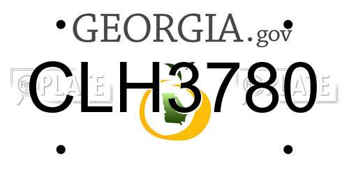 CLH3780 Georgia License Plate