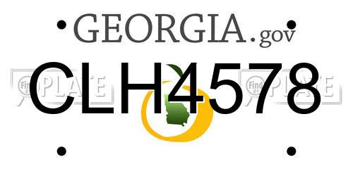 CLH4578 Georgia License Plate