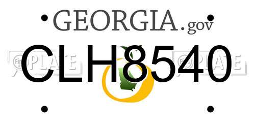 CLH8540 Georgia License Plate
