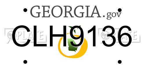 CLH9136 Georgia License Plate