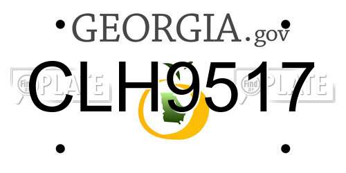 CLH9517 Georgia License Plate