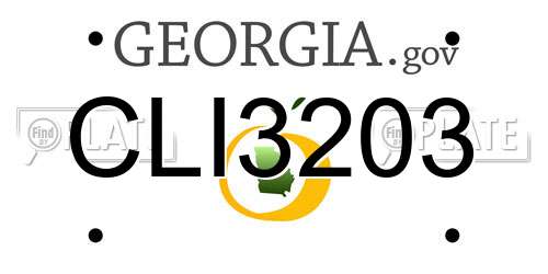 CLI3203 Georgia License Plate