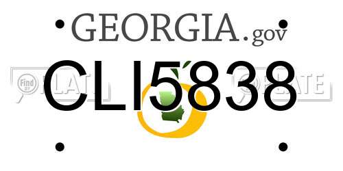CLI5838 Georgia License Plate