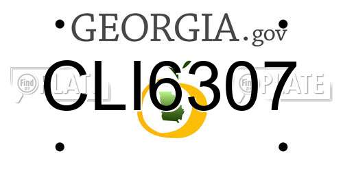 CLI6307 Georgia License Plate
