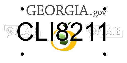 CLI8211 Georgia License Plate