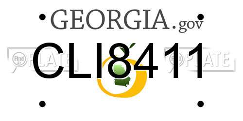 CLI8411 Georgia License Plate