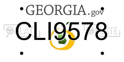 CLI9578 Georgia License Plate