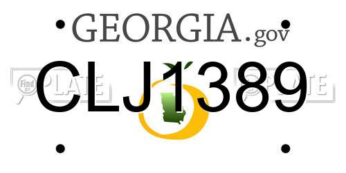 CLJ1389 Georgia License Plate