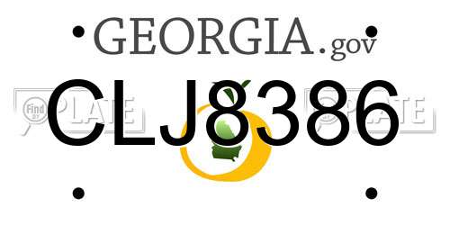 CLJ8386 Georgia License Plate