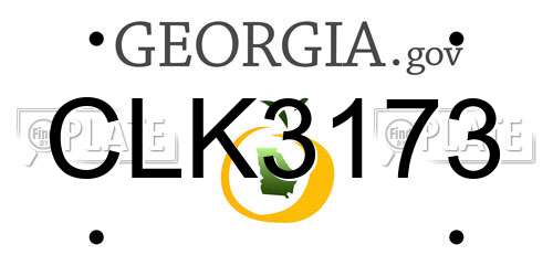 CLK3173 Georgia License Plate
