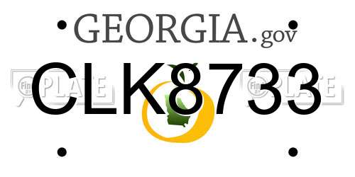 CLK8733 Georgia License Plate