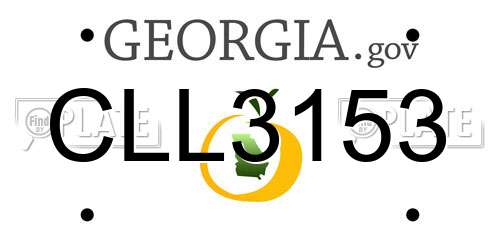 CLL3153 Georgia License Plate