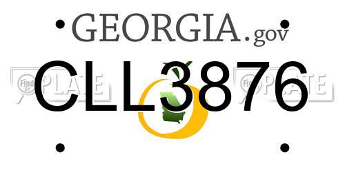 CLL3876 Georgia License Plate