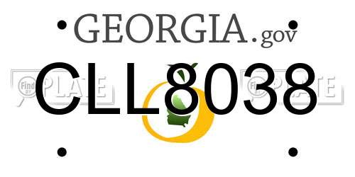 CLL8038 Georgia License Plate