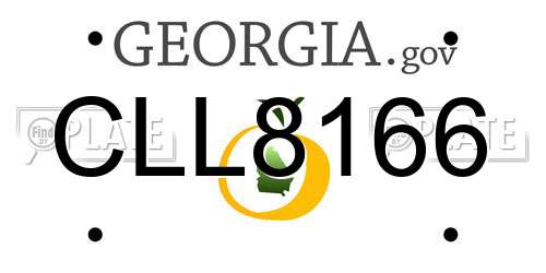 CLL8166 Georgia License Plate