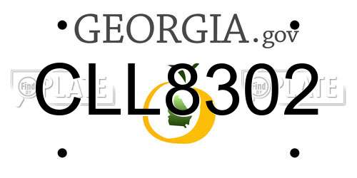 CLL8302 Georgia License Plate