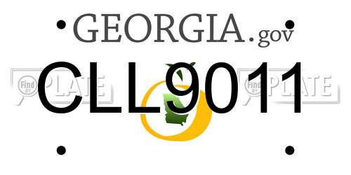CLL9011 Georgia License Plate