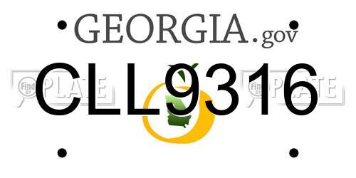 CLL9316 Georgia License Plate