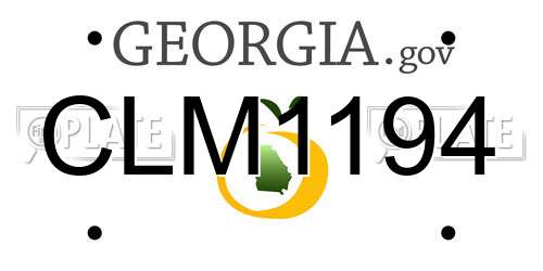 CLM1194 Georgia License Plate