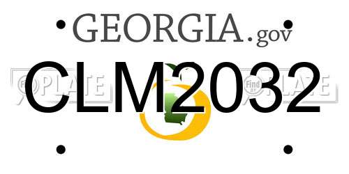 CLM2032 Georgia License Plate