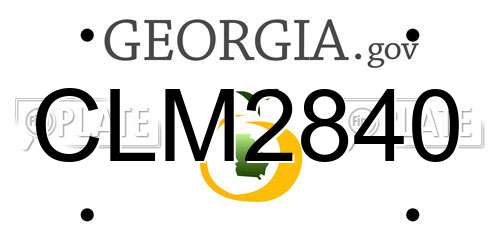 CLM2840 Georgia License Plate