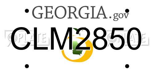 CLM2850 Georgia License Plate