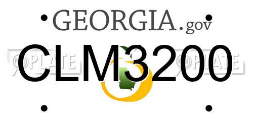 CLM3200 Georgia License Plate