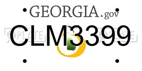 CLM3399 Georgia License Plate
