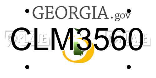 CLM3560 Georgia License Plate