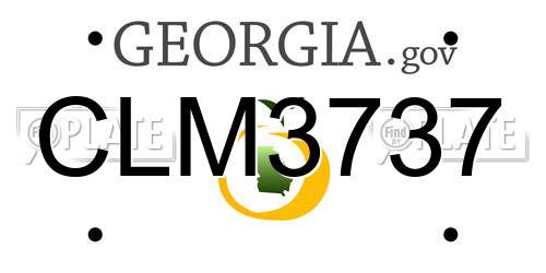 CLM3737 Georgia License Plate