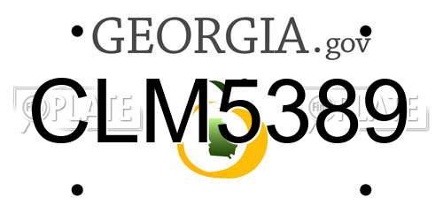 CLM5389 Georgia License Plate