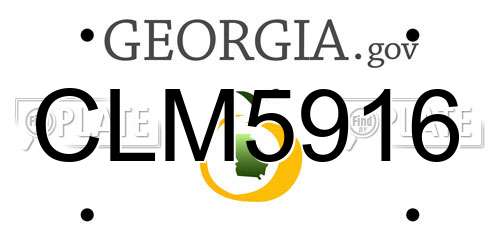 CLM5916 Georgia License Plate