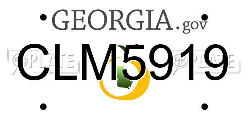 CLM5919 Georgia License Plate