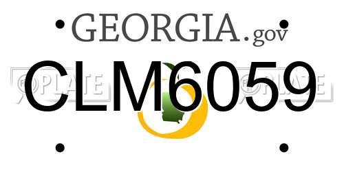 CLM6059 Georgia License Plate