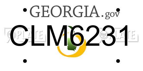 CLM6231 Georgia License Plate