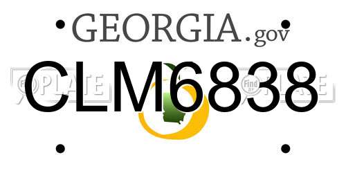 CLM6838 Georgia License Plate