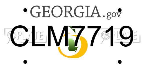 CLM7719 Georgia License Plate