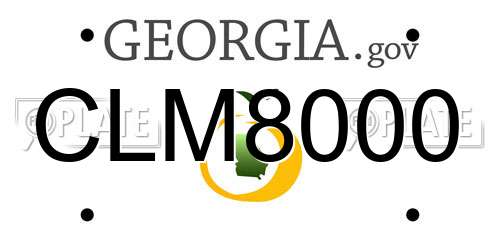 CLM8000 Georgia License Plate
