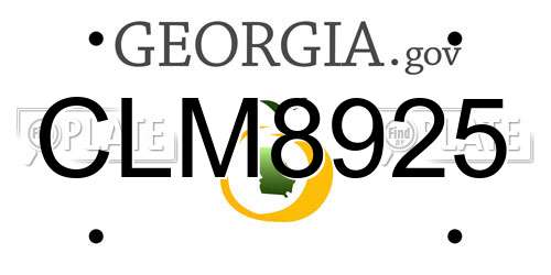 CLM8925 Georgia License Plate