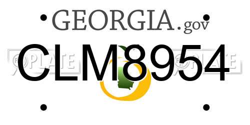 CLM8954 Georgia License Plate