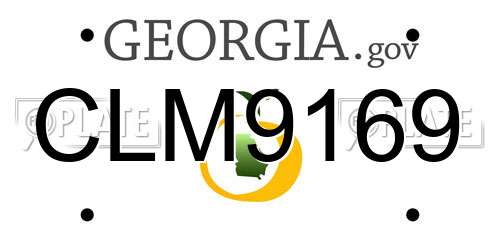 CLM9169 Georgia License Plate