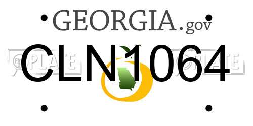 CLN1064 Georgia License Plate