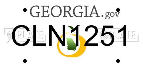CLN1251 Georgia License Plate