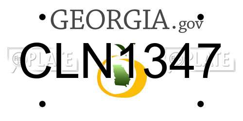 CLN1347 Georgia License Plate