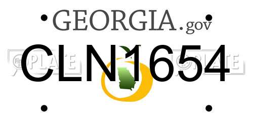 CLN1654 Georgia License Plate