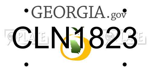 CLN1823 Georgia License Plate