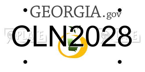 CLN2028 Georgia License Plate